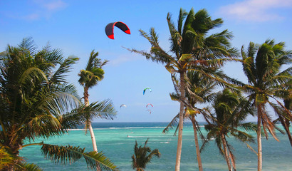 kites on bright sky and sea background