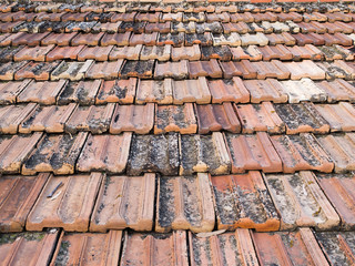 shingles on the roof