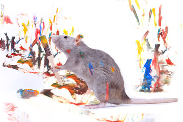 Ratounette fait de la peinture...