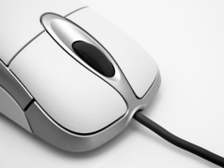 Computer Mouse