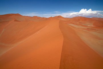 Plakat morze wydm na pustyni Namib
