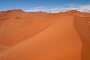Obraz na płótnie Canvas dune sea of the Namib desert