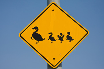 Duck traffic sign
