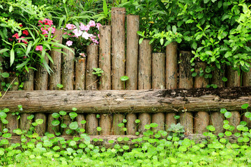 fence in garden