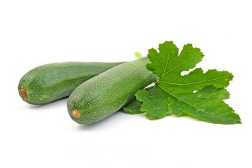 fresh bio marrow