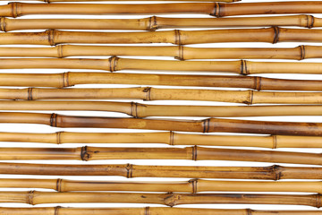 Texture de bambous