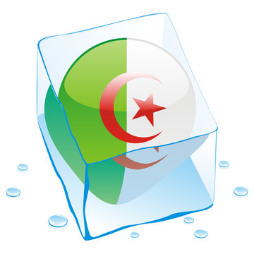 vector of algeria button flag frozen in ice cube