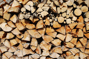 cutted firewood