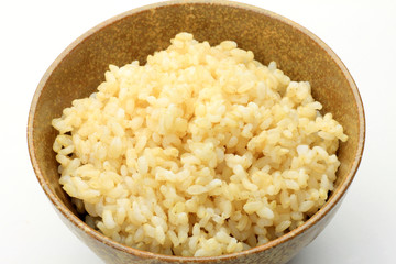 rice(genmaigohan)