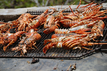 Aragoste dell'oceano indiano