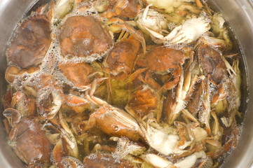 Cooking Crabs