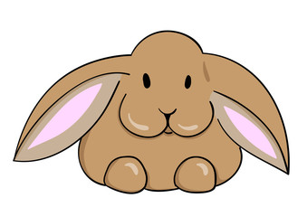 bunny