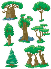 Trees(baobab, sequoia, acacia, poplar, oak, fur-tree, maple)