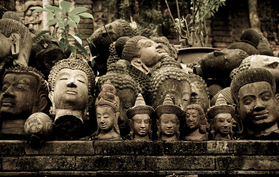buddah images