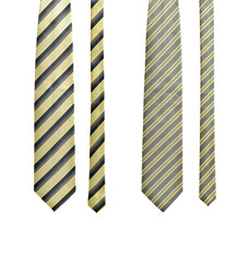 Set of two ties