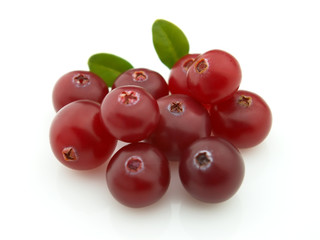 Cranberry