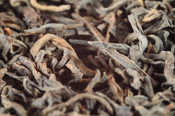 Pu erh
