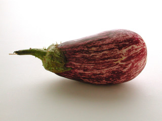 Melanzana - Solanum melongena