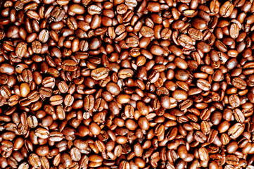 Roasted coffee bean background
