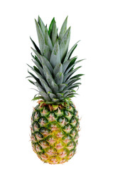 Fototapeta premium Pineapple