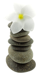 Fototapeta na wymiar Biały kwiat frangipani na piramidzie z kamyka, białym
