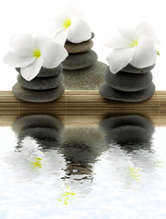 décoration zen, massage, sauna, relaxation, fond blanc