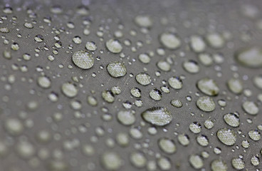 Fototapeta premium after rain