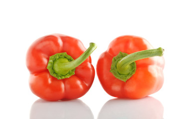 isolated bell pepper paprika