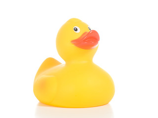 Rubber duck