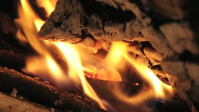 calore ceppo fiamma brace