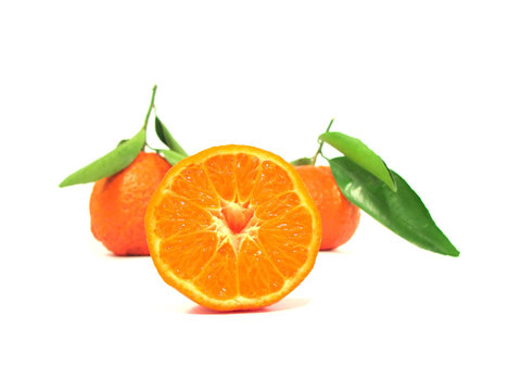 Three tangerines © Shan