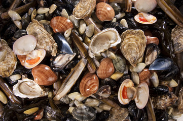 Mixed sea food