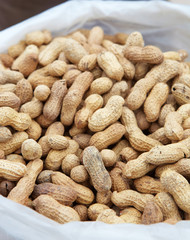 Peanuts in shells