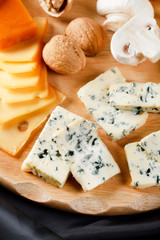 big group of cheeses