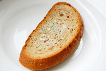 Musty bread on plate