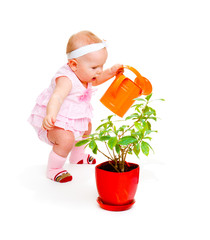 Watering plant