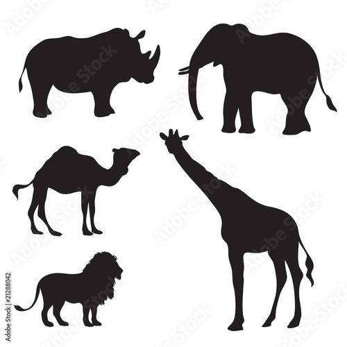 extreme clipart 2010- animals pack - photo #18