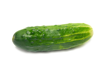 Green cucumber