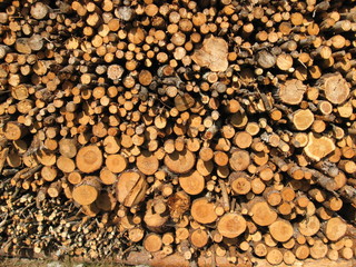 Holzstapel