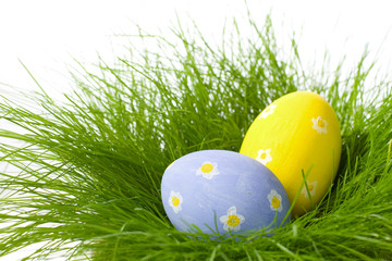 easter eggs in grass