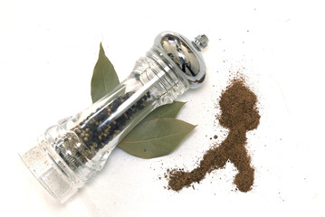 Glass pepperbox, bay leaf and paprika