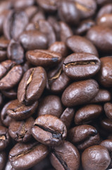 Coffee Beans Close Up
