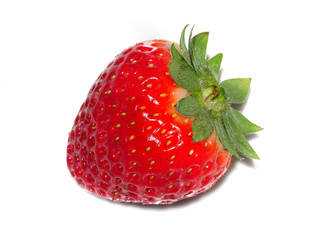fragola