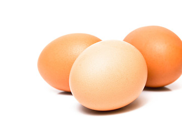 eggs