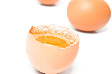 Egg