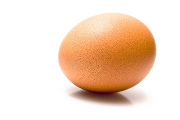 Egg
