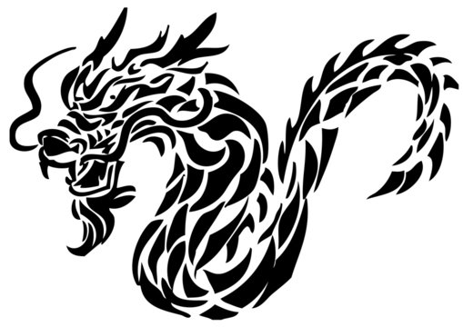 vector illustration dragon tattoo