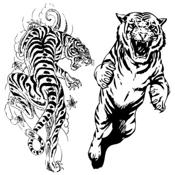vector illustration tiger tattoo