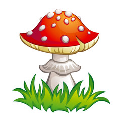 Fly-agaric icon