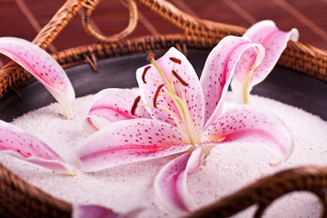 Bambusschale mit Lilie